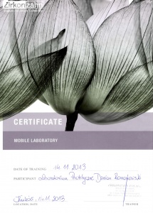 certyfikat-2013